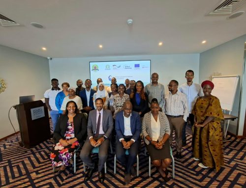 EAC-EU-GIZ LIFTED Project Strengthens Services Export Strategies for Tanzanian Firms
